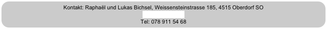 Kontakt: Raphaël und Lukas Bichsel, Weissensteinstrasse 185, 4515 Oberdorf SO
info@ricicletta.ch
Tel: 078 911 54 68
